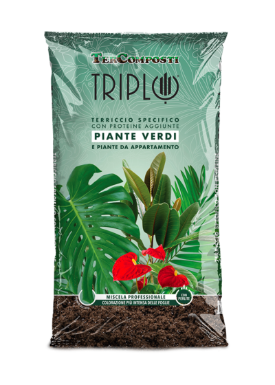 PIANTE VERDI